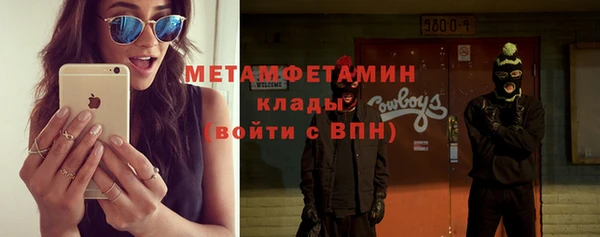 ГАЛЛЮЦИНОГЕННЫЕ ГРИБЫ Бородино