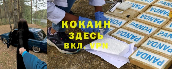 дмт Бронницы