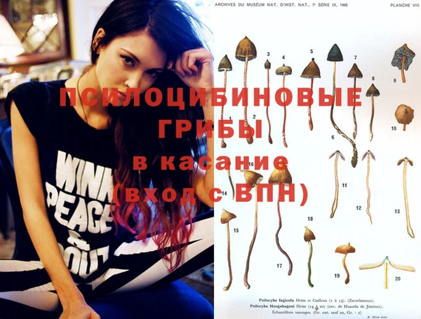 дмт Бронницы