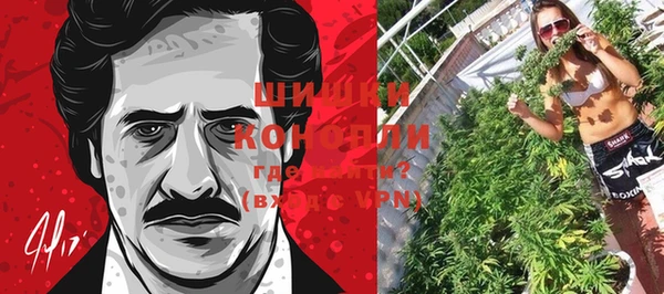 дмт Бронницы
