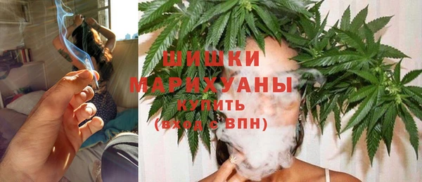 ГАЛЛЮЦИНОГЕННЫЕ ГРИБЫ Бородино